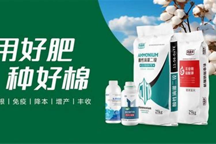 新疆棉花底肥施用用量