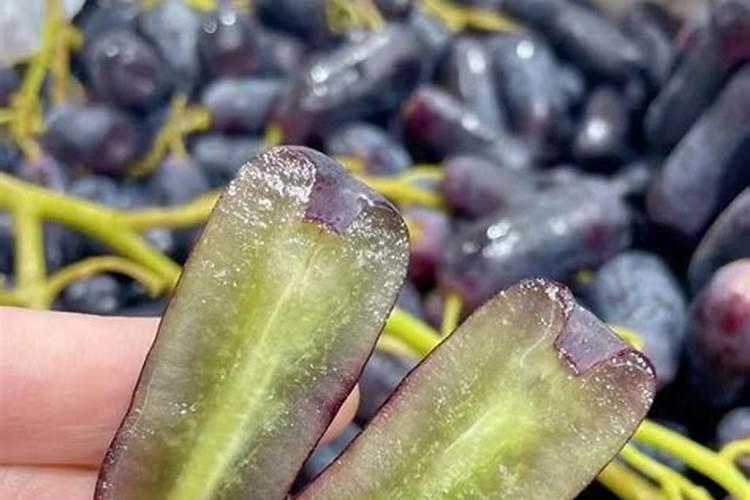 高氮肥料有哪些