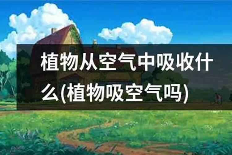 氯化钾可以当肥料吗？