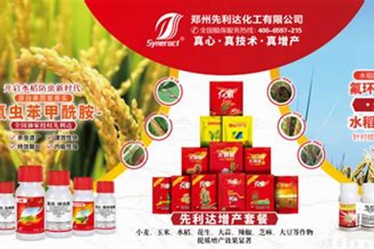 水稻齐穗期打什么药