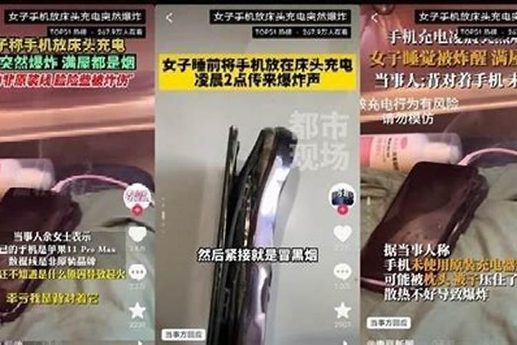 西红柿根部老是出问题是怎么回事？
