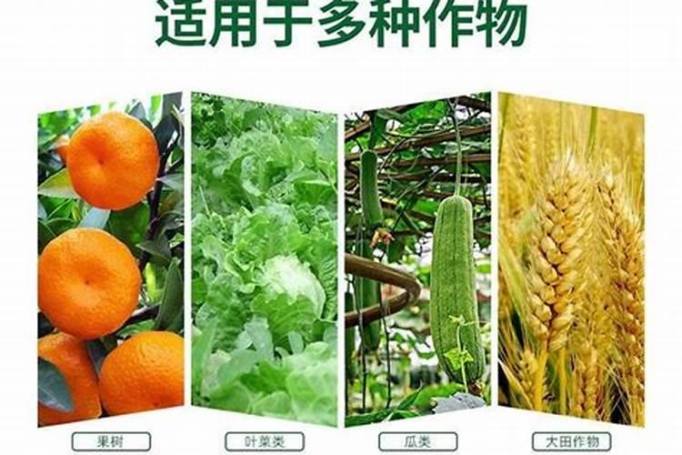 猕猴桃花前需要打药吗？