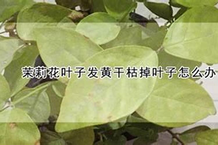 请问珍爱网是真的还是骗人的？