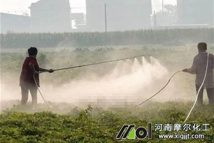 什么蔬菜不能和糖一起吃 哪些蔬菜不宜放糖