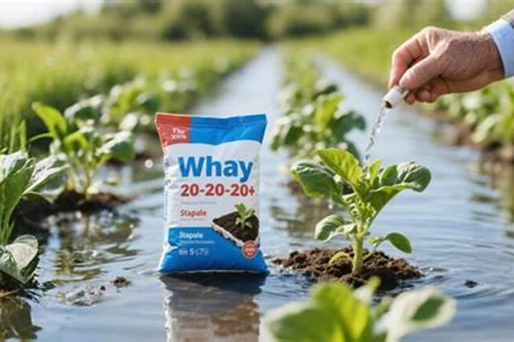 水溶肥桃树上什么时候用好