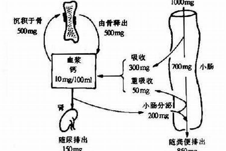 用什么肥料使柑橘秋梢老熟快？