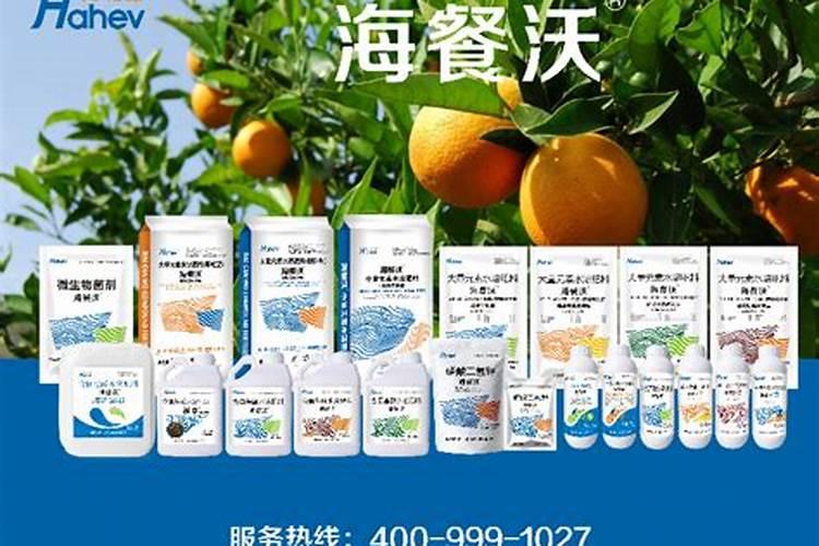 水稻生长过程怎样管理