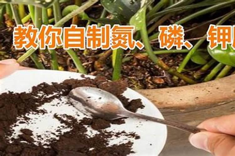 含磷的肥料有哪些