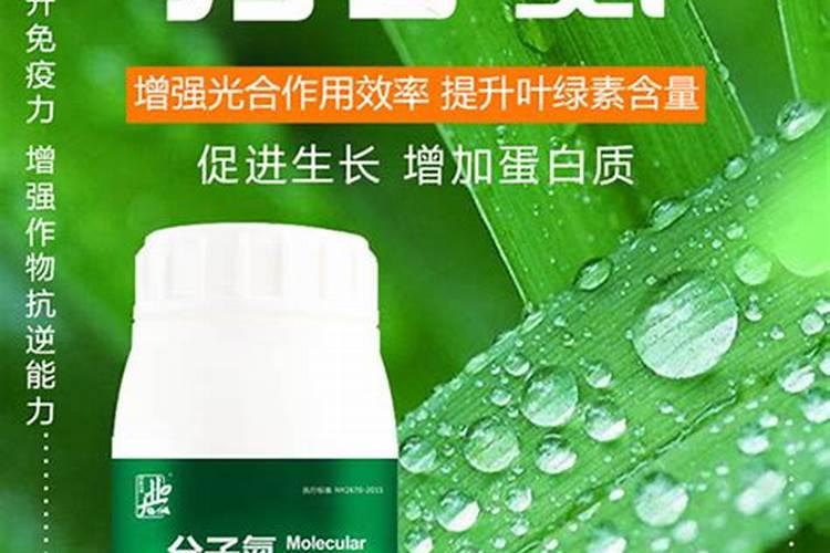 叶面肥配方包含什么物质
