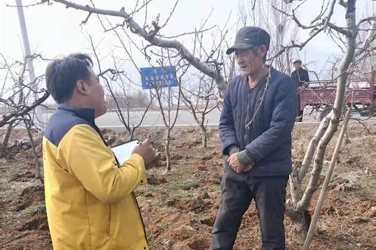 种菜用什么肥料做底肥 种菜的时候用什么做底肥好