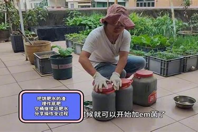 种菜施底肥的正确方法