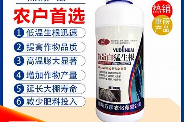 南瓜怎么老化瓜南瓜老化瓜怎么办
