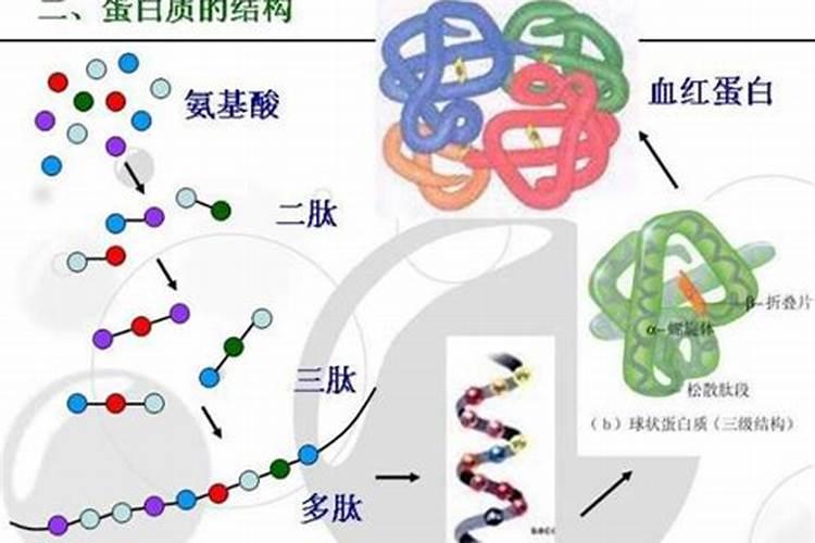 鱼蛋白的做法都有什么呢？