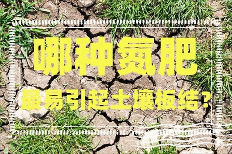 霍林河的干流概况