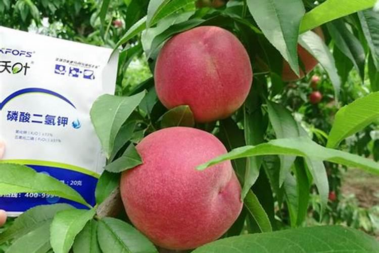 余灵人物简介