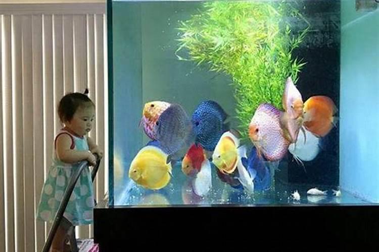 氮磷钾肥料怎么用才能种花