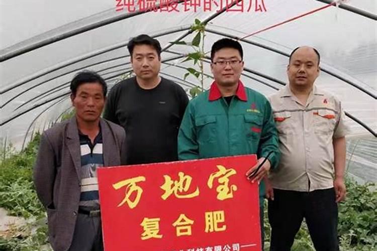 西瓜施什么肥料最甜 施肥需要离根部多远