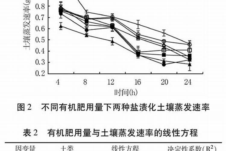 韭葱的种植方法及时间