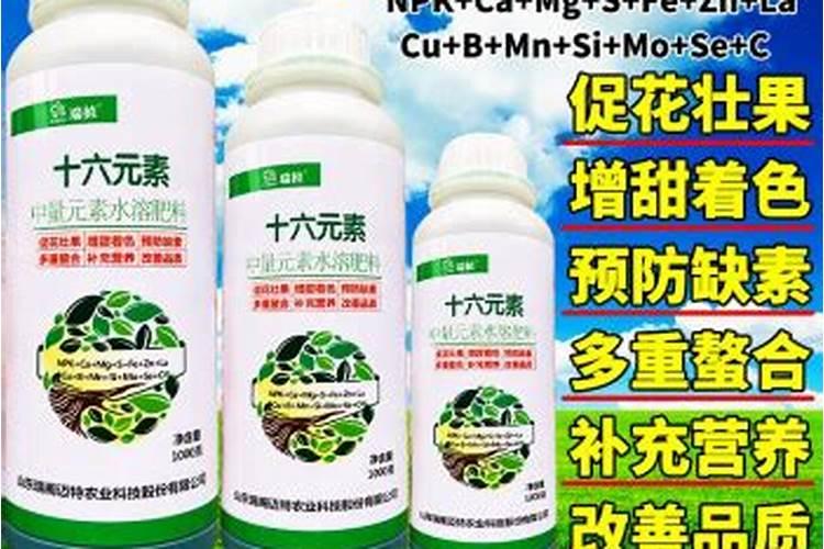 桃树春季如何管理打药与施肥？