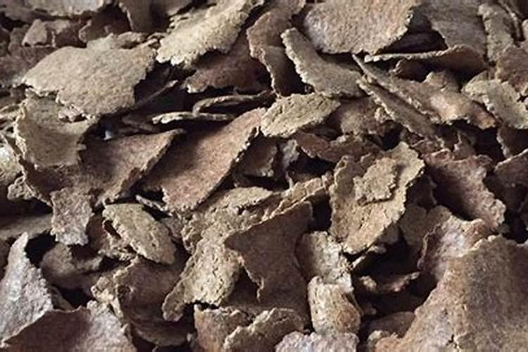 花生麸可以直接埋土吗 花生麸可以不可以直接埋在土壤中