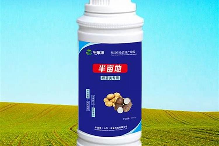白兰花用什么肥料最好(白兰花怎么施肥长得快开花多)