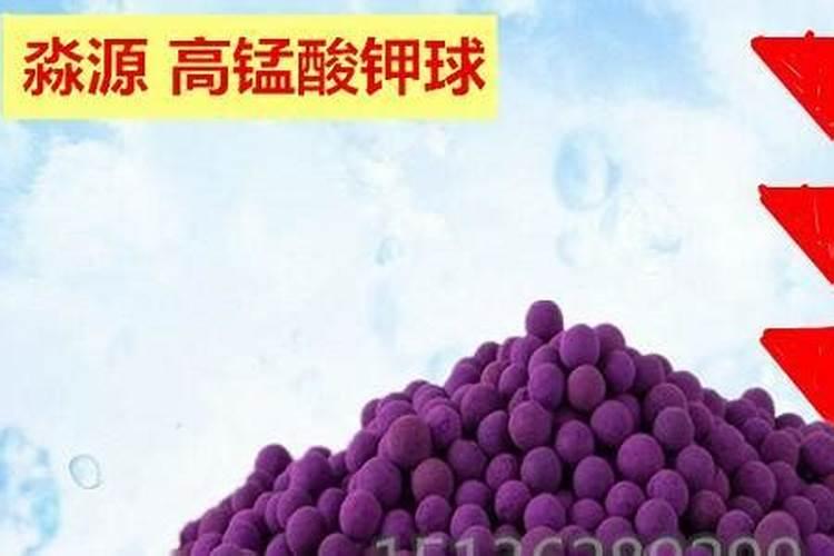 豆角结果期用什么肥料好