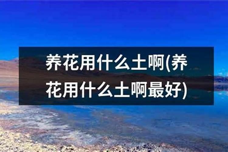 矿源黄腐酸钾使用过量小麦出现何药害？