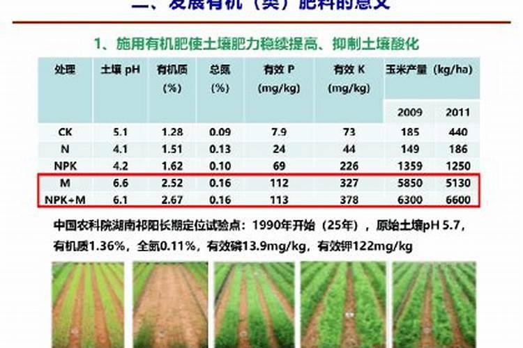 养花什么时候施氮肥(给花施氮肥比例是多少)