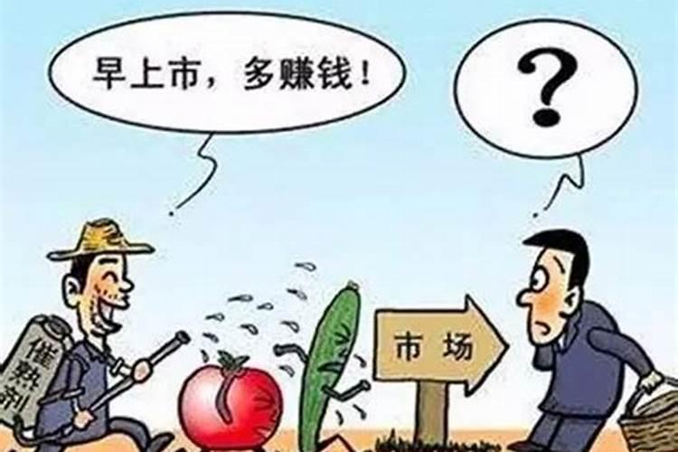 园林绿化用什么肥料