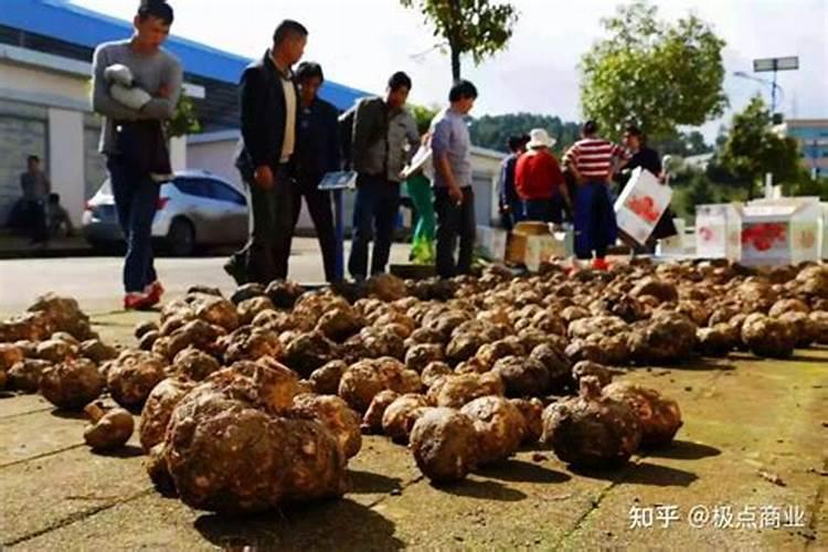 龙岩周边哪有钓鱼的地方