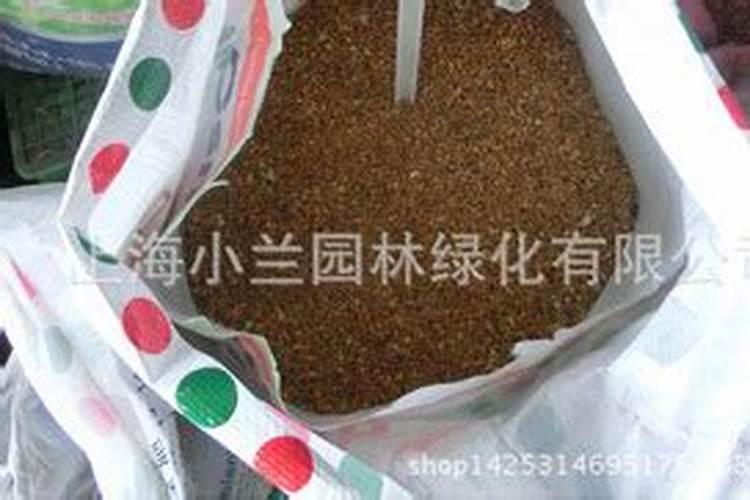 怎么种胡萝卜