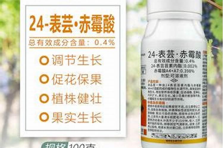 兰花用的土和多肉植物用的土是一种吗