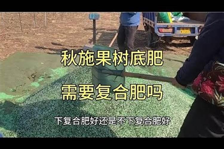 哪种叶面用的钙肥吸收好
