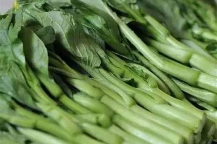 种青菜怎么施肥
