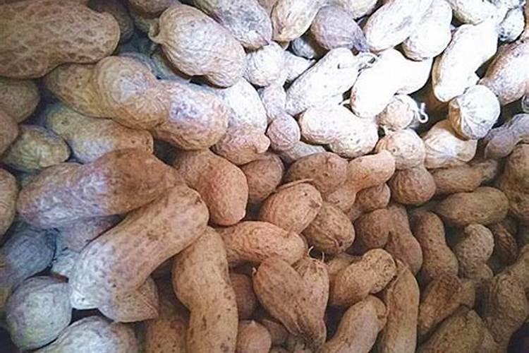 新型肥料的功效与趋势