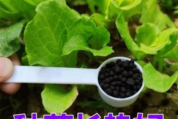 刀鱼和韭菜能同时吃吗？为什么？