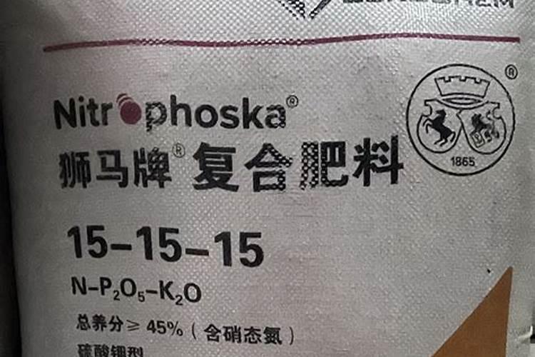 八月瓜适合南方桂林种植吗 八月炸桂林可以种吗