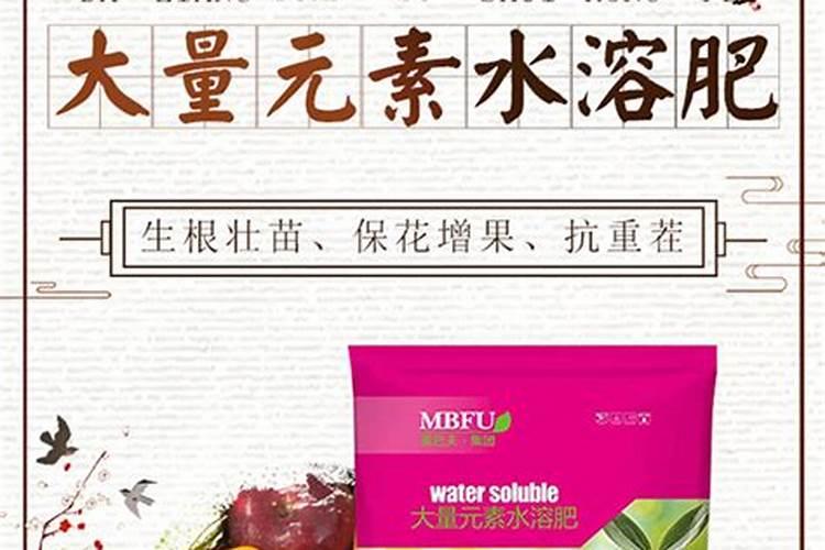 磷酸二氢钾这几个神奇搭配,生根养根又壮苗,效果出乎想象
