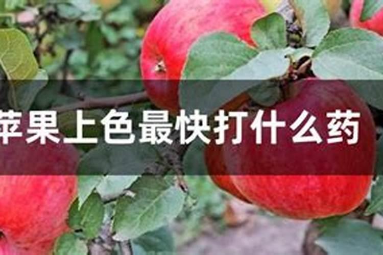 红富士苹果六月份施什么肥料