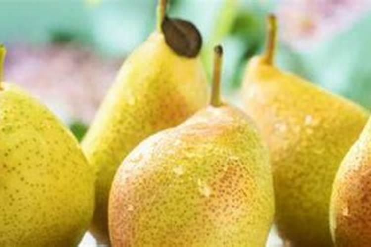一般的大棚蔬菜用什么叶面肥、冲施肥好？!!