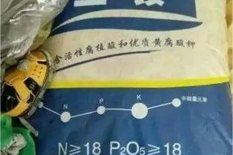 荔枝幼苗用什么肥料好