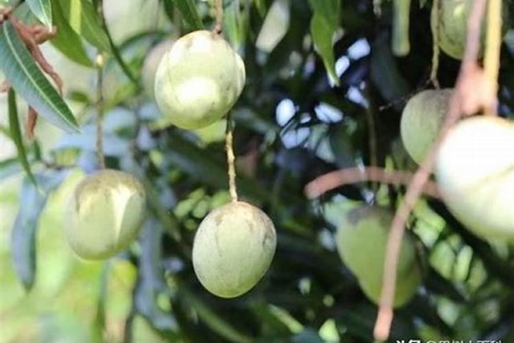 黑龙江省烟草公司牡丹江烟叶公司怎么样？