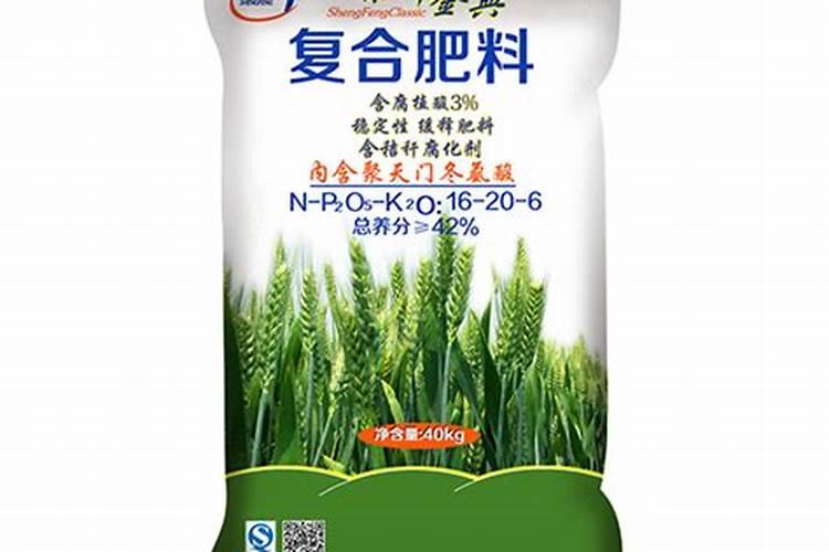 大棚丝瓜育苗技术要点 丝瓜如何培育