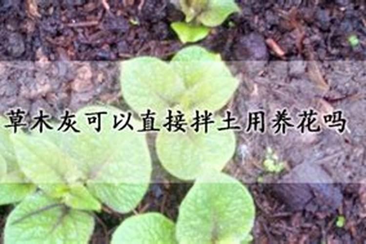 为什么铵态氮肥不能与草木灰混合使用