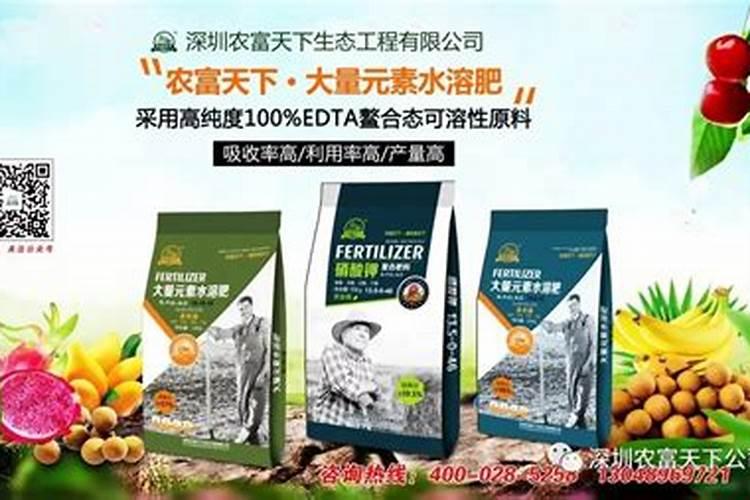 蟹爪兰用什么肥料最好
