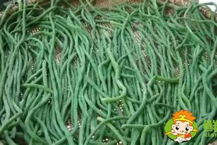 茶叶怎么发酵当肥料