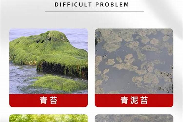 纯碱是什么原料做的 纯碱是怎样生产出来的