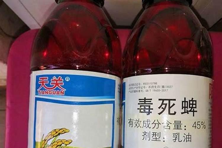 如何防治金针虫？