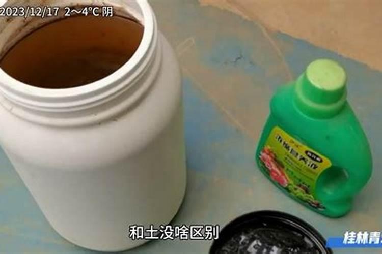 法师用什么肥料最好