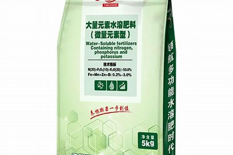 黄芩种植技术